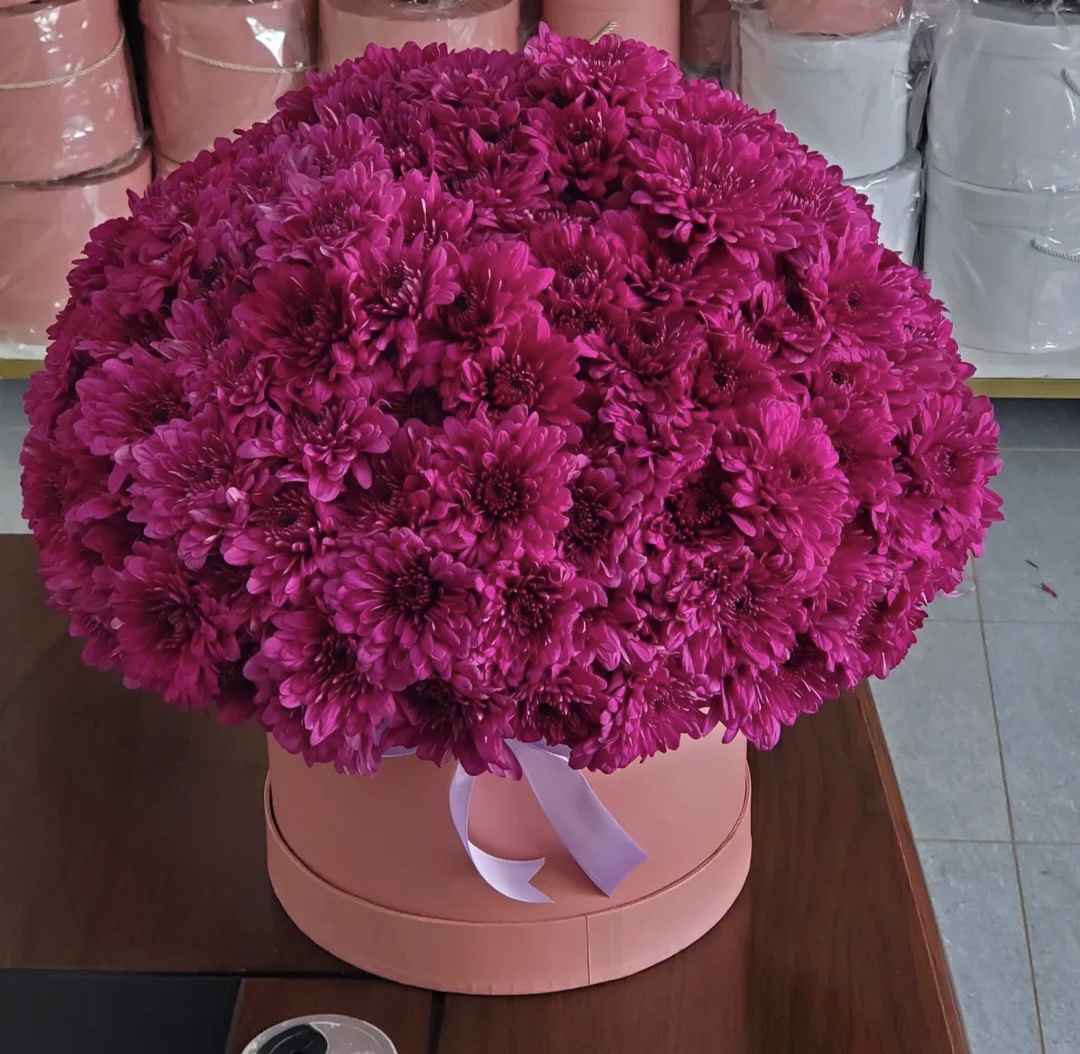 Screenshot_20251108_230158_Instagram