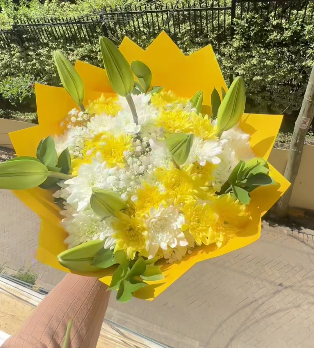 Screenshot_20251115_160807_Instagram